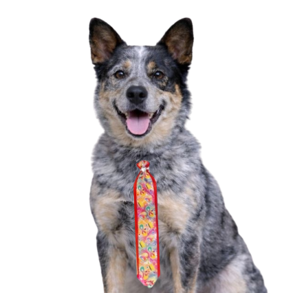 G733 GRAVATÃO DUPLO FOLIA - 20 UN