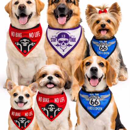 B408 BANDANA MOTO CLUB - 10 UN