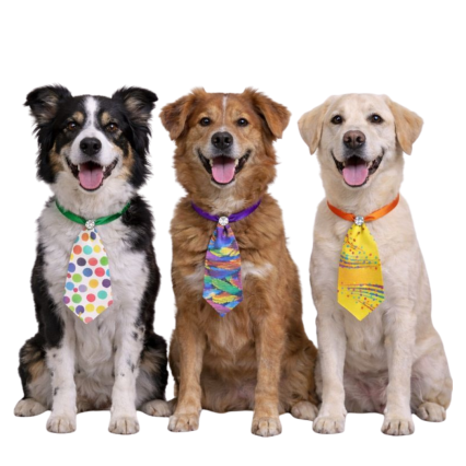 G738 SOCIAL ESTAMPA FOLIA GORG - 30 UN