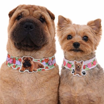 L1763 PASSA FITA FRUTAS C/CÃOZINHO - 20 UN.