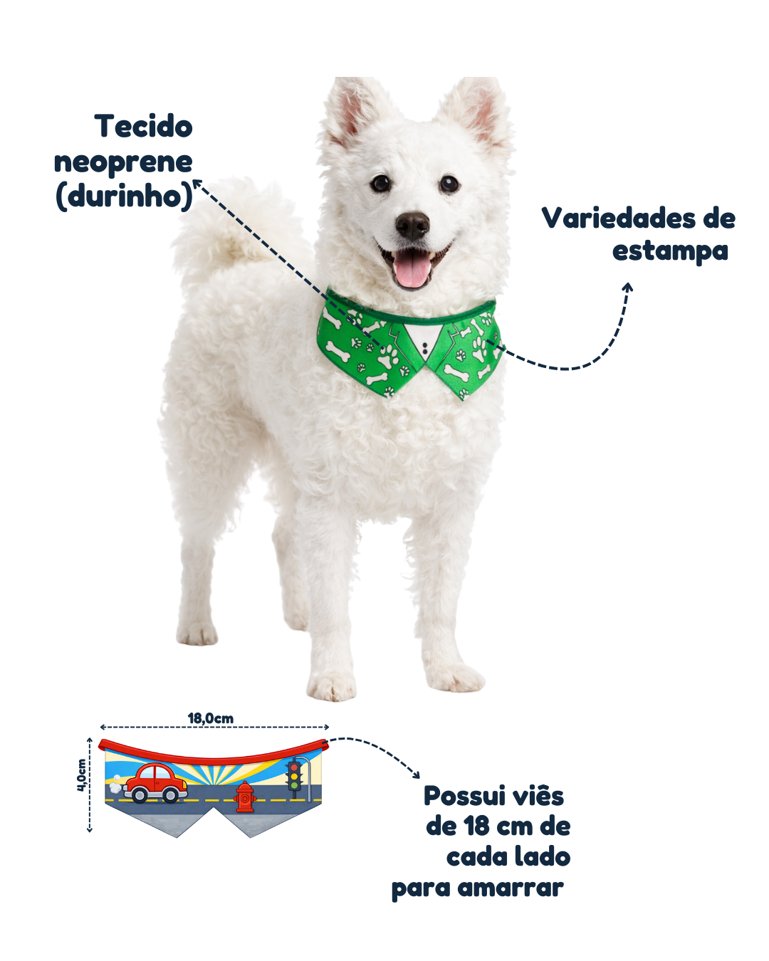 G2661 COLARINHO ESTAMPADO - 10 UN - Imagem 2