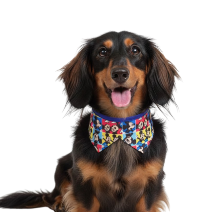 G2661 COLARINHO ESTAMPADO - 10 UN