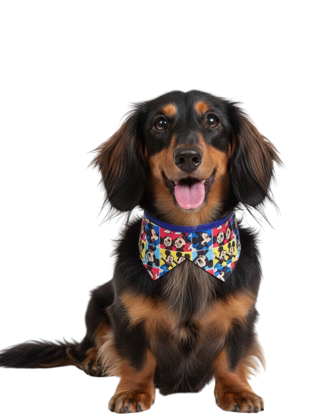 G2661 COLARINHO ESTAMPADO - 10 UN