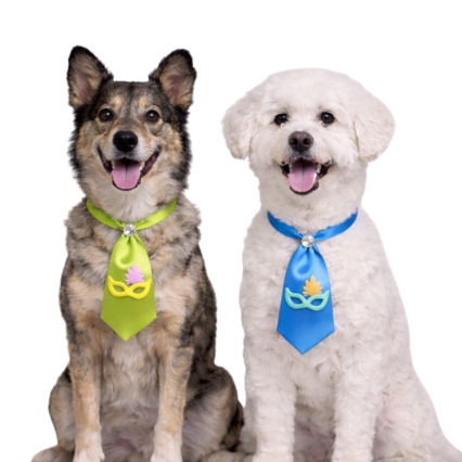 G7320 SOCIAL '11CM' COM MÁSCARA EM E.V.A - 20 UN