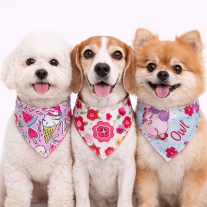 B133 BANDANAS ESTAMPAS MEIGAS - 10 UN