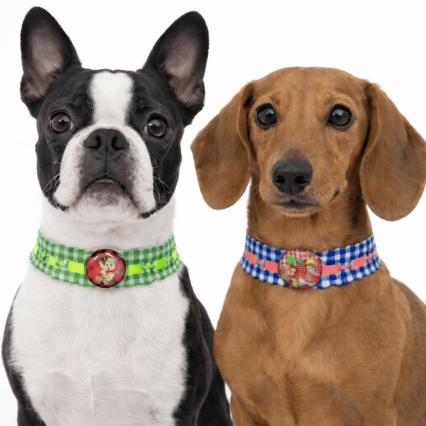 L328 PASSA FITA XADREZ JUNINO - 20 UN