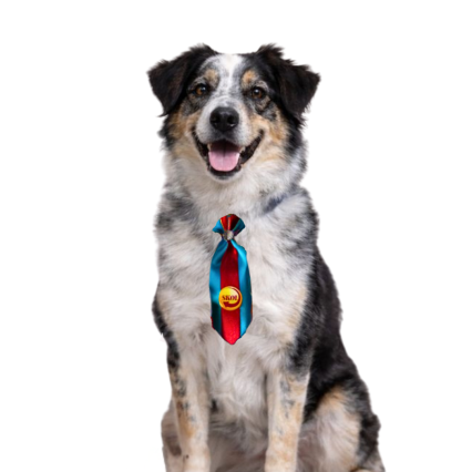 G21834 SOCIAL DUPLA 11 CM  C/BOTON CERVEJA - 25 UN