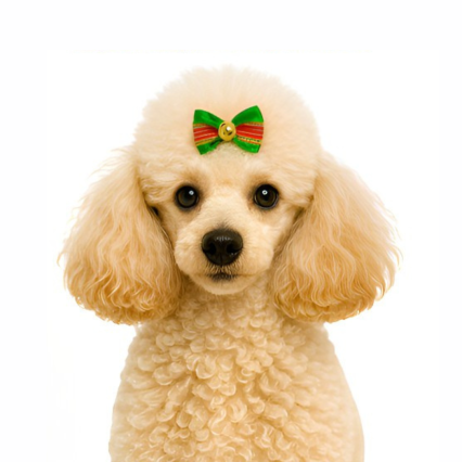 L51013 LACINHO DUPLO NATALINO - 30 UN