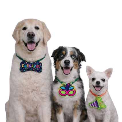 L71210 GARGANTILHA CARNAVAL - 10 UN