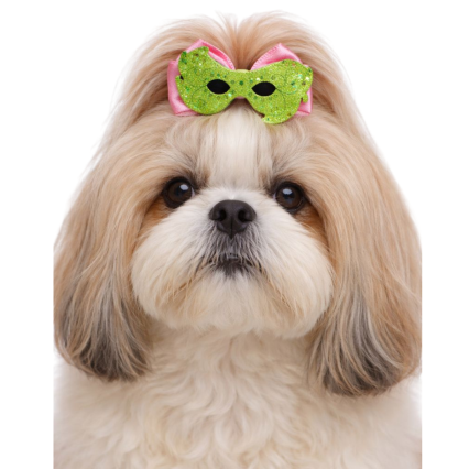 L7126 LAÇO C/MÁSCARA EM E.V.A - 20 UN