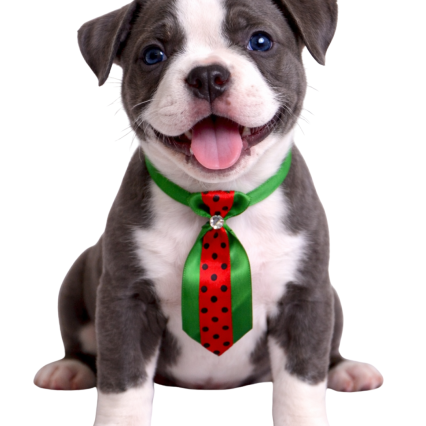 G2171 SOCIAL DUPLA POA - 25 UN