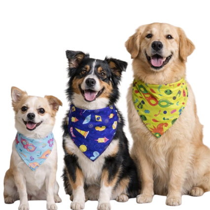 B7012 BANDANA ESTAMPA CARNAVAL  - 10 UN