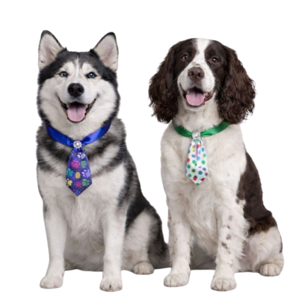 G21090 SOCIAL ESTAMPAS DIVERSAS - 11CM - 25 UN