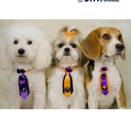 G747 SOCIAL DUPLA HALLOWEEN 'M' - 25 UN