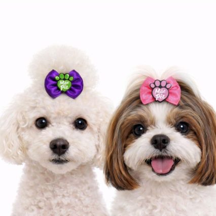 L10250 LAÇO MÃE DE PET - 30 UN