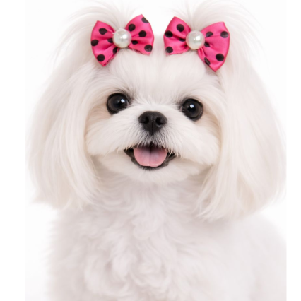 L101073 LAÇO POA C/PÉROLA - 30 UN