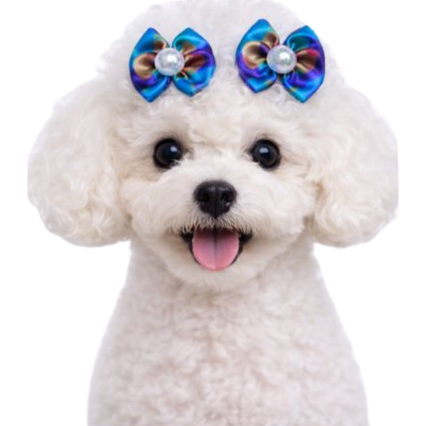 L10271 LAÇO ESTAMPADO - 30 UN