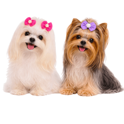 L11678 LAÇO GORGURÃO NEON - 30 UN