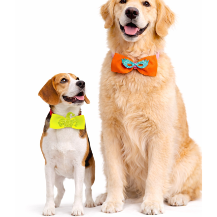 L7120 BORBOLETA CARNAVAL NEON - 20 UNID.