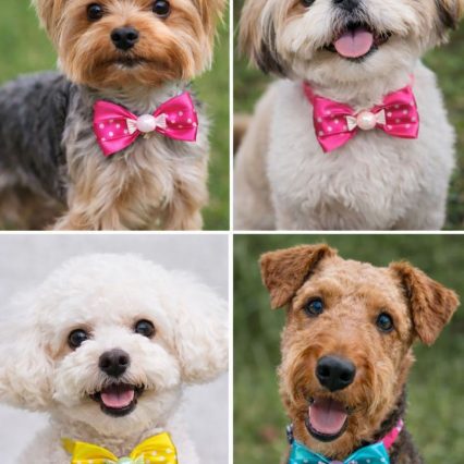 L10857 BORBOLETA DUPLA POA - 20 UN