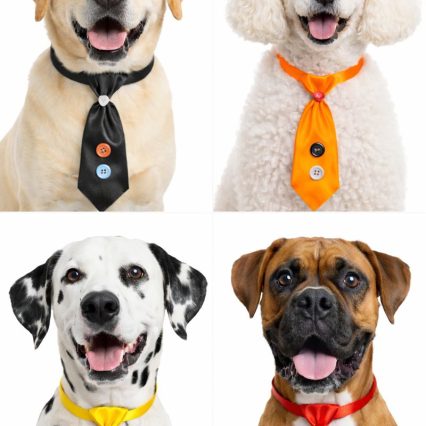 G2193 GRAVATÃO '15CM' DUPLO C/BOT. CAMISA - 20 UN