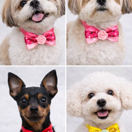 L10857 BORBOLETA DUPLA POA C/ROSA - 20 UN