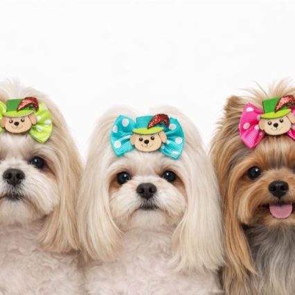 L71280 LAÇO C/ENFEITES DE CARNAVAL EM E.V.A -30 UN