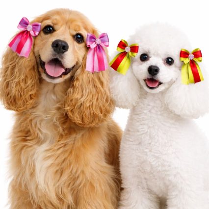 L107623 LAÇO PONTA DUPLO C/CRISTAL - 24 UNID