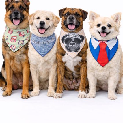 B4182 BANDANAS ESTAMPAS DIVERSAS - 10 UN