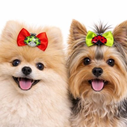 L10648 LACINHO CETIM C/JOANINHA - 30 UN