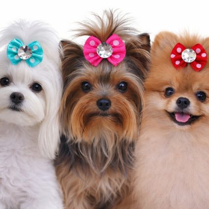 L101018 LAÇO GORG POA - 30 UN