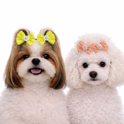 L11686 LAÇO FRENTE UNICA NEON C/BRILHO - 30 UN