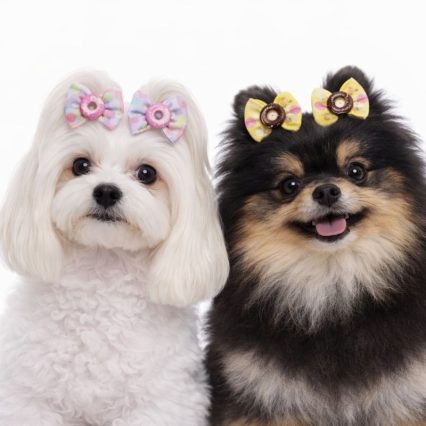 L1351 LAÇO GORG.ESTAMPADO C/BOTON DONUTS - 30 UN