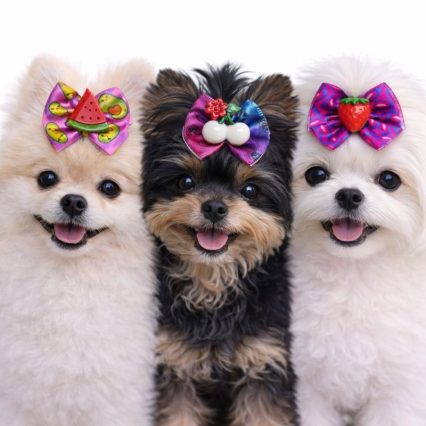 L10284 LAÇO DECORATIVO C/FRUTINHAS - 30 UN