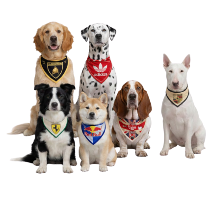 B457 BANDANA MARCAS DE CARRO - 10 UN