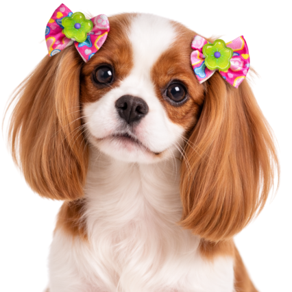 L11636 LAÇO ESTAMPADO - 30 UN