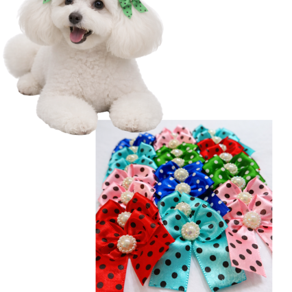 L10749 PONTA PONTA POA MEIGO - 24 UN