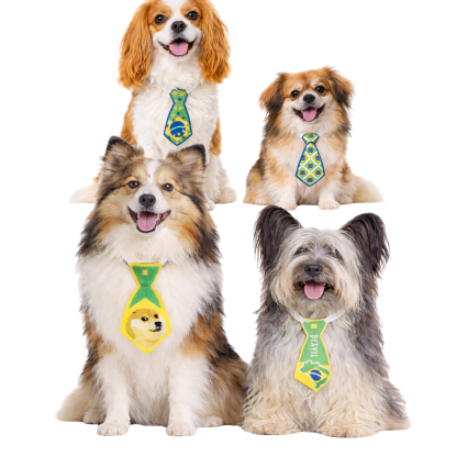 G9130 GRAVATA BRASIL - 20 UN