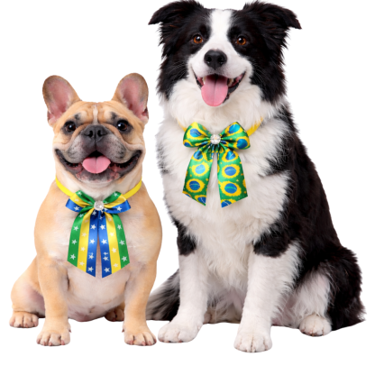 L910 LAÇAROTE DO BRASIL - 15 UN