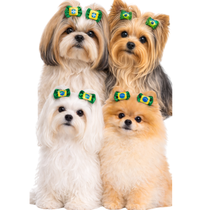 L9015 LAÇO BRILHOSO DO BRASIL - 30 UN