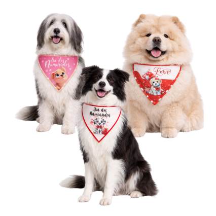 B459 BANDANAS DIA DOS NAMORADOS - 10 UN