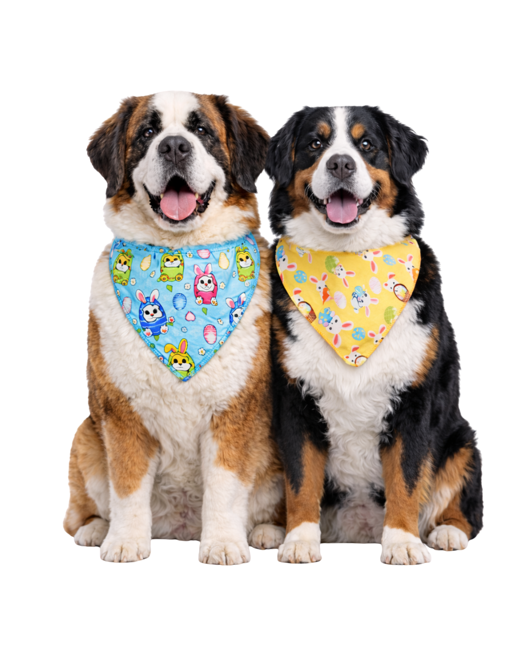 B715 BANDANA PET ESTAMPAS PÁSCOA - 10 UN - Imagem 3