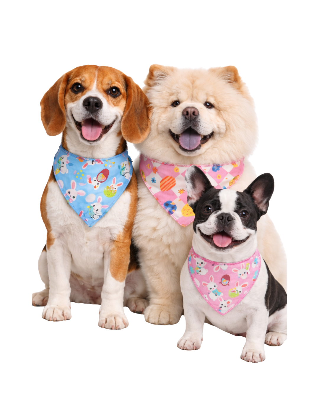 B715 BANDANA PET ESTAMPAS PÁSCOA - 10 UN - Imagem 4