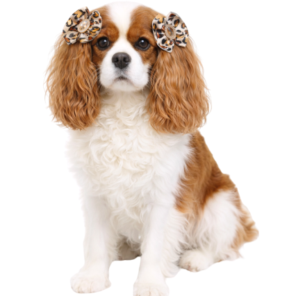 L132 LAÇO ESTAMPADO ANIMAL PRINT - 30 UN